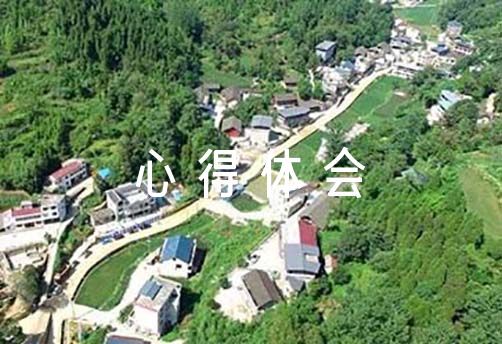 篮球训练自我总结200字_0